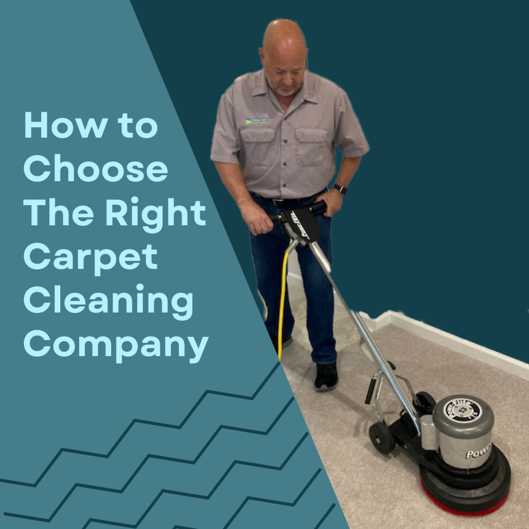 frank cleaning a carpet with an orbiter and text saying how to choose the right carpet cleaning company